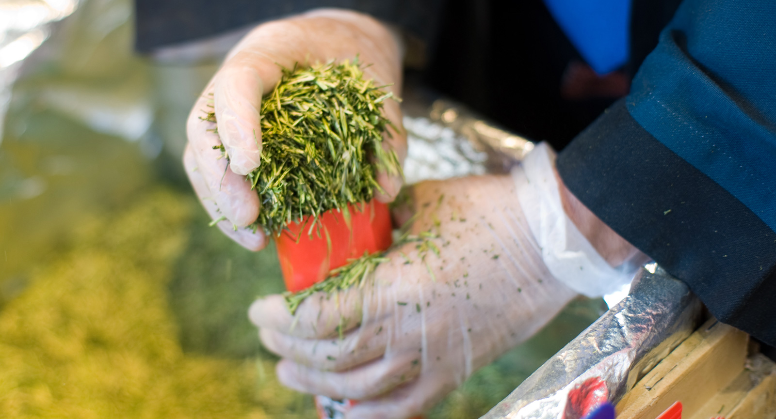 小國ことまち横丁